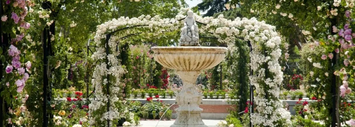 Rosaleda del Parque de El Retiro