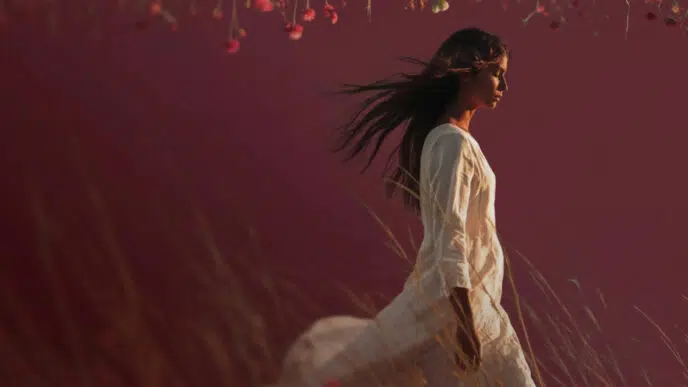 Imagen con el cambio de nombre de Freepik a Magnific :: Magnific