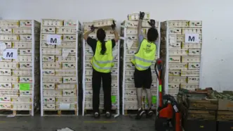 Voluntarios de la campaña «Ningún hogar sin alimentos»