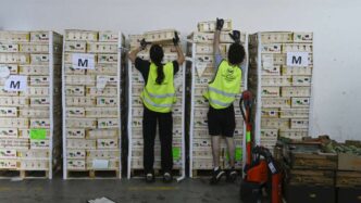 Voluntarios de la campaña «Ningún hogar sin alimentos»