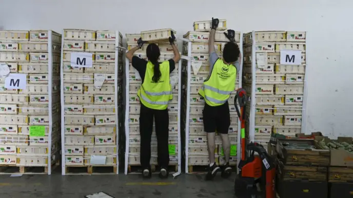 Voluntarios de la campaña «Ningún hogar sin alimentos»