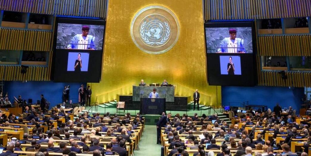 Pleno de la ONU