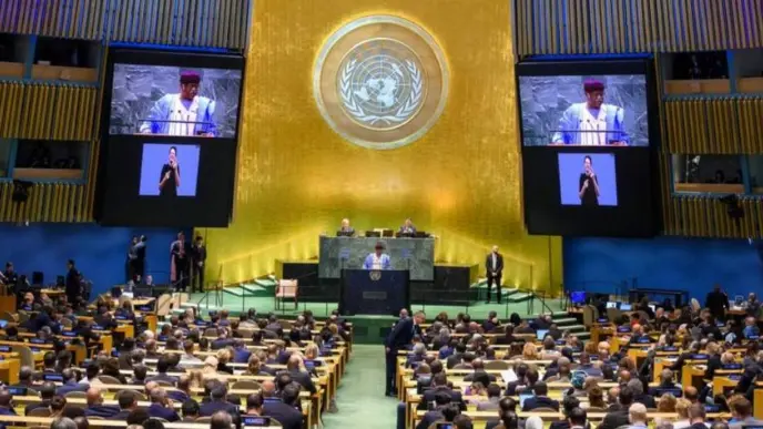 Pleno de la ONU